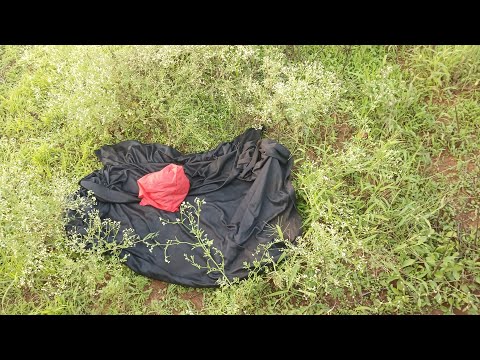 Weuh Sam Kuitisha Mayayi Ya Nyoka Ndiyo Awachilie Stacy Weuh Sam Kuitisha Mayayi Ya Nyoka Ndiyo Awachilie Stacy