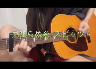 見知らぬ糸 スピッツ 弾き語り