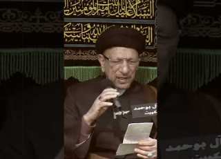 السيد محمد سبع الدجيل Ll السيد جاسم الطويرجاوي