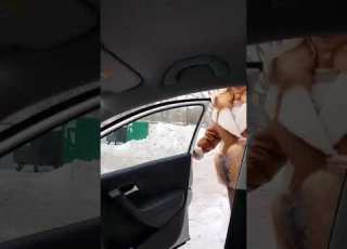  Не перевелись ещё настоящие мужчины прикол