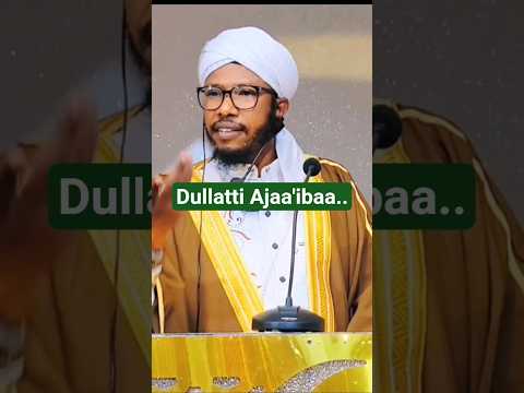 Dullatti Banii Israa Iil Khayyoo Isii Mee Laali Shorts Islam Islamic