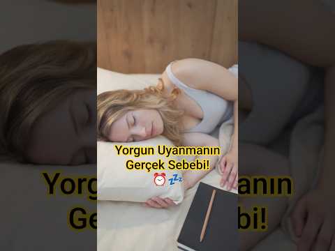 Sabahları Uyanır Uyanmaz Neden Hâlâ Yorgun Hissediyoruz Bilimsel Nedeni Uyku Yorgunluk Shorts Sabahları Uyanır Uyanmaz Neden Hâlâ Yorgun Hissediyoruz Bilimsel Nedeni Uyku Yorgunluk Shorts