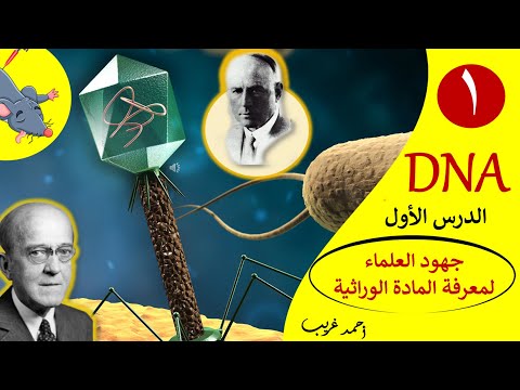 أحياء الصف الثالث الثانوي DNA جهود العلماء لمعرفة المادة الوراثية أحمد غريب