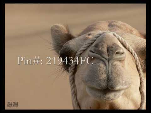 ميحد حمد عن الكثير الصدق بيسد جودة عالية