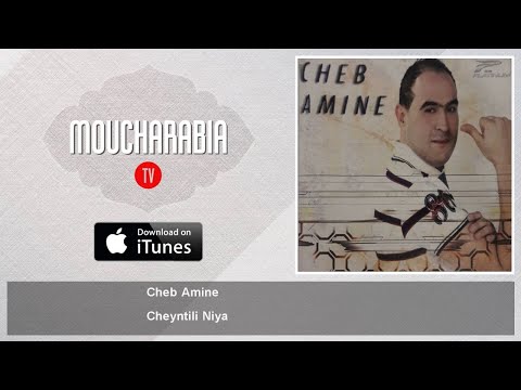 Cheb Amine Cheyntili Niya