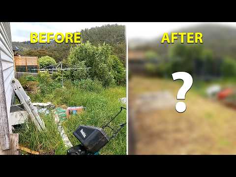 This Yard Was RUINING Her Life Until We Stepped In