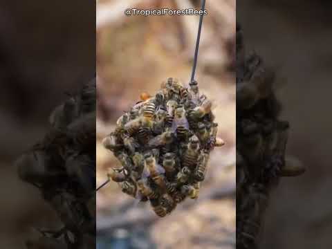 Building A New Cell In A Smart Way