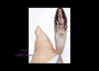  عريب موجوع قلبي