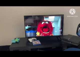  The Opening To Planes 2013 DVD
