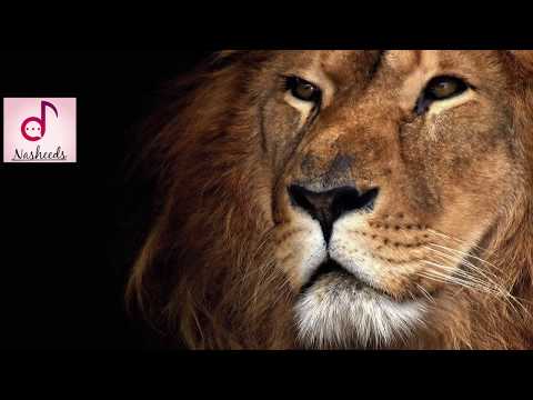 TOP 8 MOTIVATION NASHEEDS أفضل ثمانية أناشيد تحفيزية