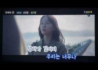  선인장 성시경 노래방 커버 네이피어