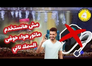  حوض سمك زينه بدون ماتور هواء