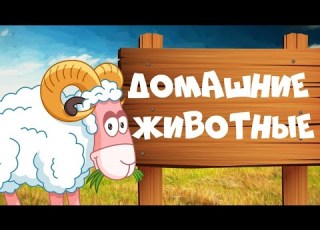 Знакомство с Домашними Животными Домашние Животные и их Голоса