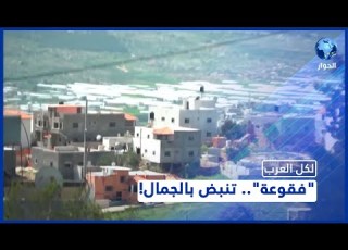 قرية فقوعة طبيعة خلابة وسكان يرفضون التخلي عنها تابعوا التفاصيل