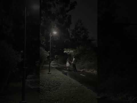 انا وحبيبي انا وحبيبي دوبنا عمر الحب كلو فى يوم وليلة