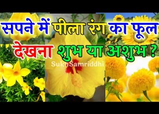  सपन म प ल फ ल द खन Sapne Me Pila Phool Dekhna Sapne Me Phool Dekhna Sapne Sapneme