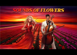  EuroMartina Sounds Of Flowers Official Music Video KORG STYLE INSTRUMENTAL ITALO DISCO