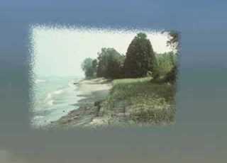  Secret Shores By 2002