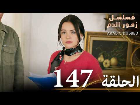 الحلقة 147 مسلسل زهور الدم مدبلج بالعربية Kan Çiçekleri