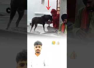 القلوب النقية تجذب الأرواح الطيبة حتى لو كانت بلا كلام Shorts Youtubeshorts Trending Explore