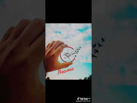 اللي شايفك غالي حبه واللي مش شايفك سلام