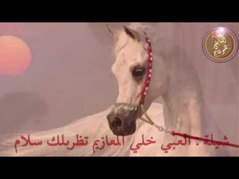 اروع شيله الفحي بشعرك