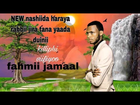 New Nashiida Haarawa Afaan Oromoo Fahmi Jamal Official Video 2025
