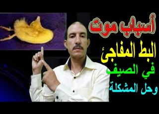  موت البط أسباب موت البط المفاجئ والعلاج النهائي