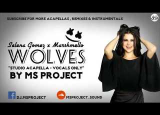 Selena Gomez Marshmello Wolves Studio Acapella Vocals Only