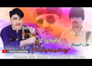 Nosherwan Ashna Pashto New Songs 2023 Speena Sta Dedan Ta Pa Ghla Razam New Pashto Songs 2023