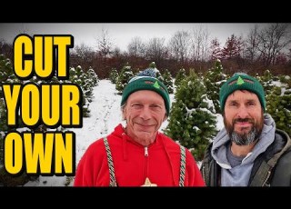Behind The Scenes At A REAL Cut Your Own Christmas Tree Farm