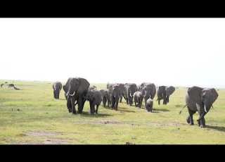 OL TUKAI LODGE AMBOSELI