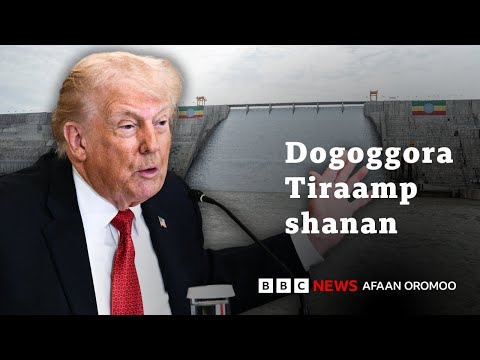 Itoophiyaafi Abbayyaarratti Tiraamp Waan Shan Dogongoran BBC News Afaan Oromoo Itoophiyaafi Abbayyaarratti Tiraamp Waan Shan Dogongoran BBC News Afaan Oromoo