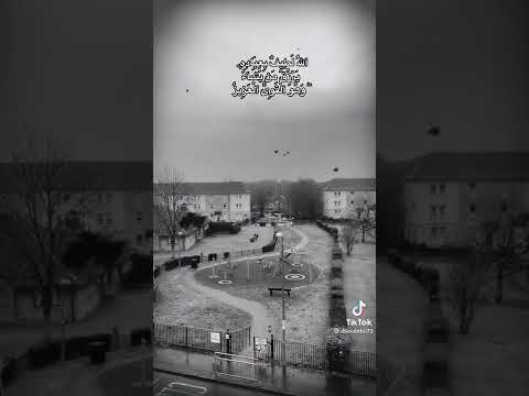 الل ه لطيف بعباده الشيخ عبدالباسط عبدالصمد