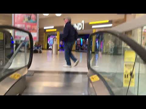 Holyoke MA Muppet Show Cast On The Up Escalator The Holyoke Mall At Ingleside