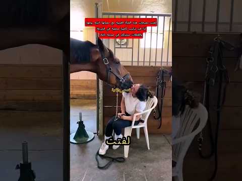 قصة المرأة و الحصان التي صدمت الجميع