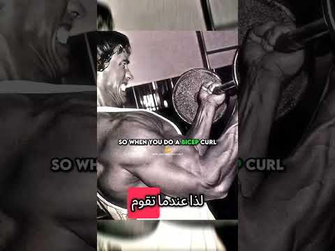 الأسطورة ارنولد شوارزنيجر يوضح أن تمرينك بلا فائده إذا لم تركز على العضلة المستهدفة Arnold الأسطورة ارنولد شوارزنيجر يوضح أن تمرينك بلا فائده إذا لم تركز على العضلة المستهدفة Arnold