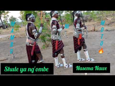 SHULE YA NG OMBE NASEMA NAWE OFFICIAL AUDIO MSAMBAZAJI SHULE YA NG OMBE 2025