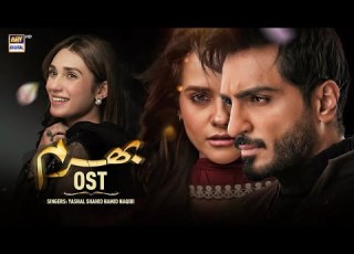 Bharam OST Yashal Shahid Hamid Naqibi Omer Shahzad Hina Tariq ARY Digital