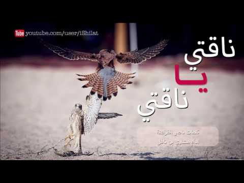 شيلة ناقتي يا ناقتي 2017