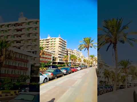 اسكندرية مباشر المنشية ع البحر