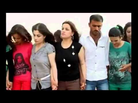 عرس قرية السليمانية الفنان صلاح هليل