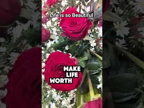 LIFE IS SO BEAUTIFUL Mamshieliz Mamshielizette Shortvideo Shorts Prayer Inspiration