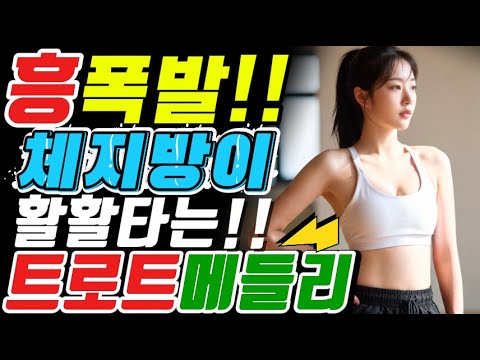 체지방이 활활타는 신나는 트로트 메들리 흥 폭발 댄스 트로트 트로트메들리 트로트 모음 100곡 최신트로트 트로트 인기가요 KTrot DanceTrot 韓国演歌 Kトロット