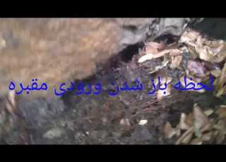 لحظه ورود به قبر اشکانی ورودی از غرب کاوش تیم زربین و دکتر پاکدل موفقیت اتفاقی نیست
