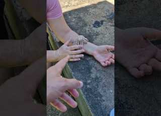 Incianto Intrattenimento Snake Encinamentos