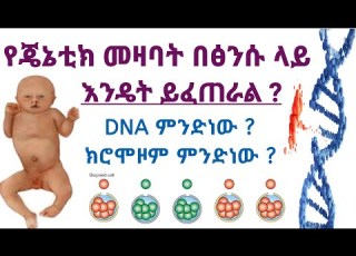  በፅንሱ ላይ የጄኔቲክ መዛባት የሚፈጠርባቸው ምክንያቶች እና መፍትሄው Causes Of Genetic Disorder On The Fetus And Treatment