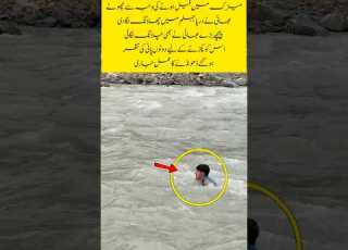 Jhelum River Swallows Two Matriculants Youtubeshorts Duet Trendingshorts Shortsfeed Viralvideo