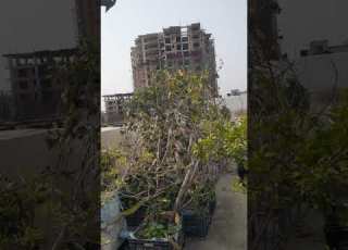  11 May 2025