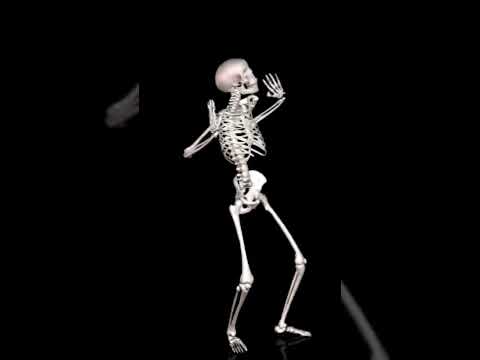 اغنية نص الكوكب يسطا يبقا بتعنا